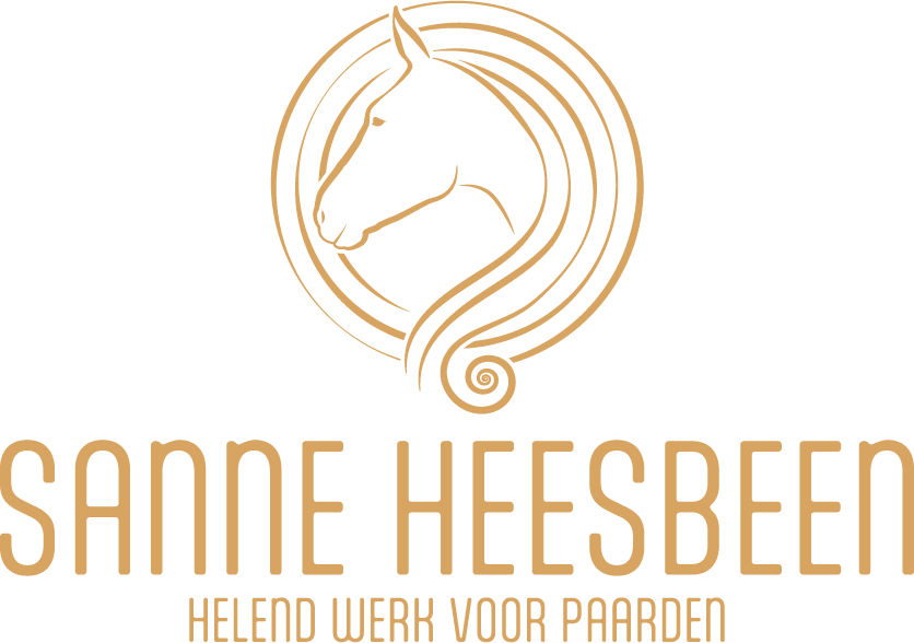 Sanne Heesbeen