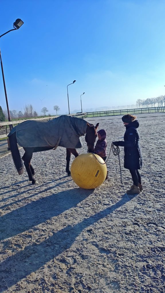 Deze afbeelding heeft een leeg alt-attribuut; de bestandsnaam is IMG-20250111-WA0000-576x1024.jpg